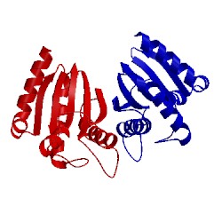 Image of CATH 3wpx