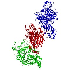 Image of CATH 3wpy