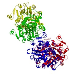 Image of CATH 3wr5