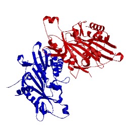 Image of CATH 3wrd