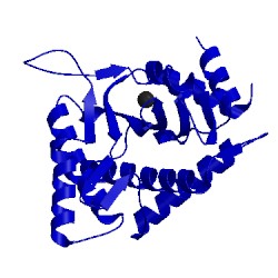 Image of CATH 3wrs