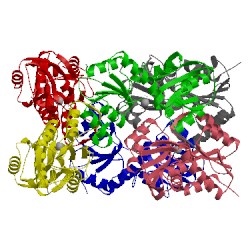 Image of CATH 3wsf