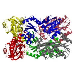 Image of CATH 3wsi