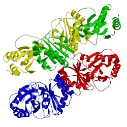 Image of CATH 3wt1