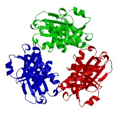 Image of CATH 3wt2