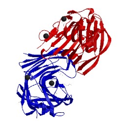 Image of CATH 3wt3