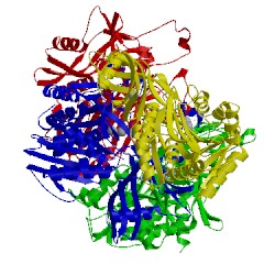 Image of CATH 3wt4