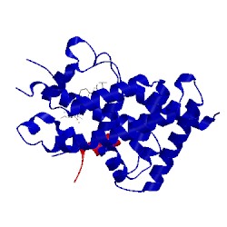 Image of CATH 3wt5