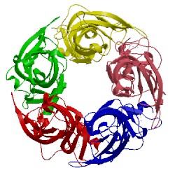 Image of CATH 3wti