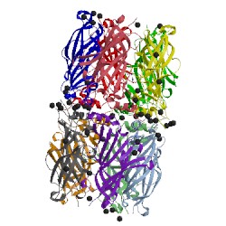 Image of CATH 3wtn