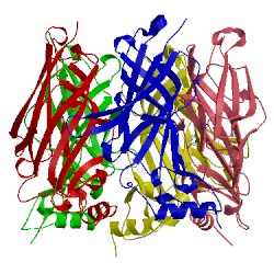 Image of CATH 3wto