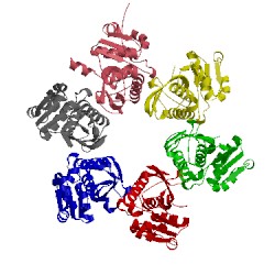 Image of CATH 3wu6