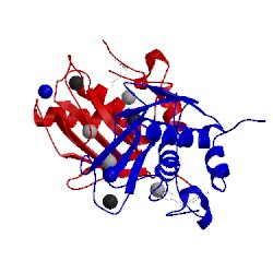 Image of CATH 3wv2