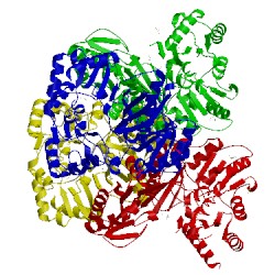 Image of CATH 3wvq