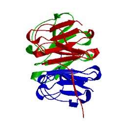 Image of CATH 3wwb