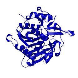 Image of CATH 3wwc