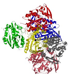 Image of CATH 3wwp