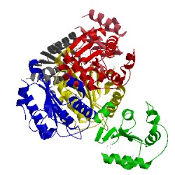 Image of CATH 3wzt