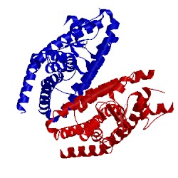 Image of CATH 3x1h