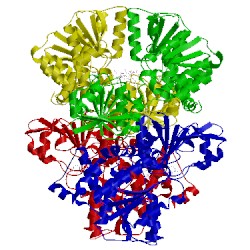 Image of CATH 3x2e