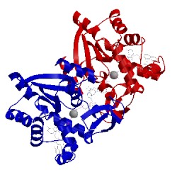 Image of CATH 3x2s