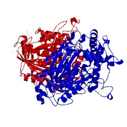 Image of CATH 3zbg