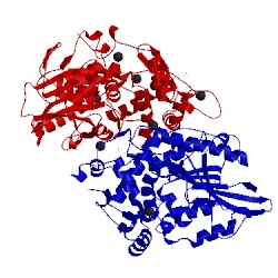 Image of CATH 3zhc