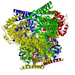 Image of CATH 3zhs
