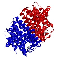 Image of CATH 3zl6