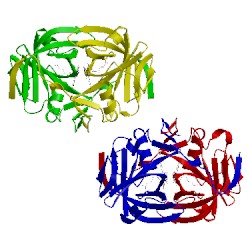 Image of CATH 3zoh