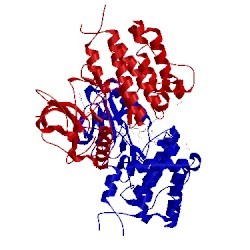 Image of CATH 3zos