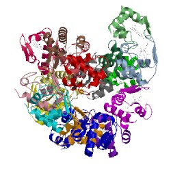 Image of CATH 3zow