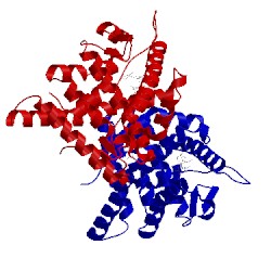 Image of CATH 3zrb