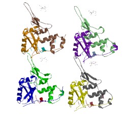 Image of CATH 3ztc