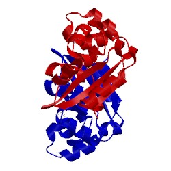 Image of CATH 3ztp