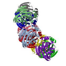 Image of CATH 3zwj