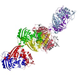 Image of CATH 3zwp