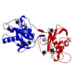 Image of CATH 3zxh
