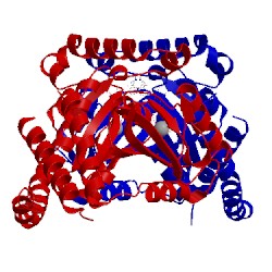 Image of CATH 3zyc