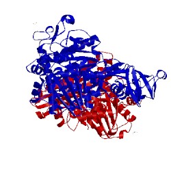 Image of CATH 3zyy