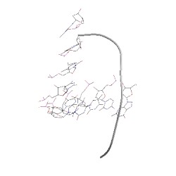 Image of CATH 404d