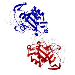 Image of CATH 4a04