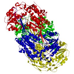 Image of CATH 4a0m