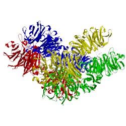 Image of CATH 4a2m