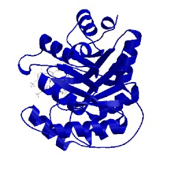 Image of CATH 4a2s
