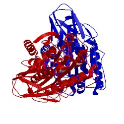 Image of CATH 4a37