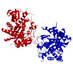 Image of CATH 4a3y