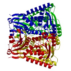 Image of CATH 4a5o