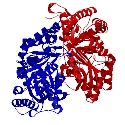 Image of CATH 4a6r