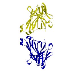 Image of CATH 4a6y